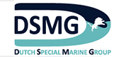 DSMG